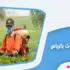 شركة رش مبيدات بالرياض