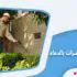 شركة مكافحة حشرات بالدمام